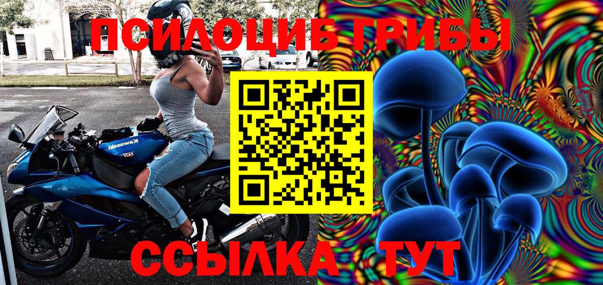 Галлюциногенные грибы Magic Shrooms Казань