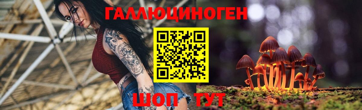 дарнет шоп  Вход с VPN  Казань  Галлюциногенные грибы GOLDEN TEACHER 